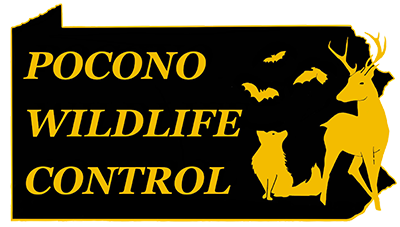 pocono wildlife logo